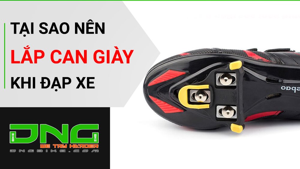 Can giày xe đạp đua SHIMANO SM-SH11 6 Độ