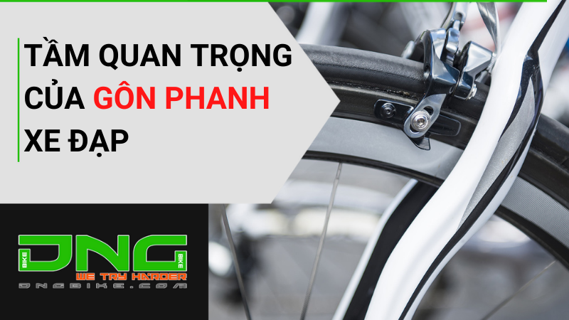 Tầm quan trọng gôn phanh xe đạp