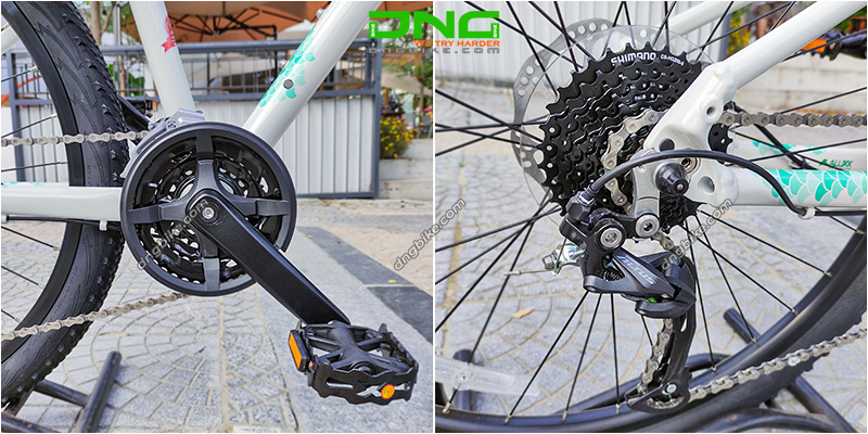 Xe đạp địa hình LIV CATE 2 2022