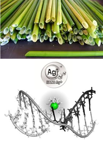 Giải pháp tối ưu trong việc khử trùng ống hút cỏ, tre thay thế ống hút nhựa