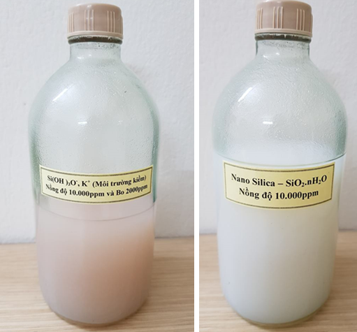 Nano Silic SiO2 và ứng dụng của nano Silic trong nông nghiệp