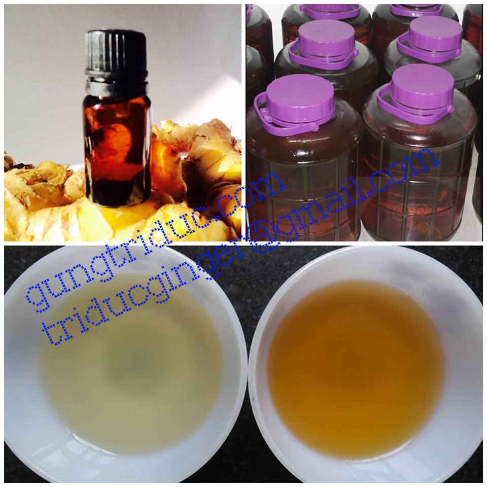 tinh dầu gừng nguyên chất