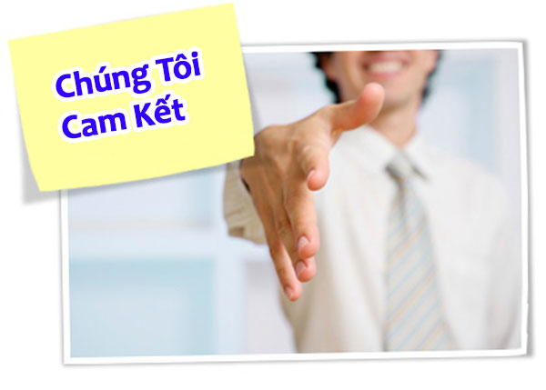 chống sét thủ đô cam kết