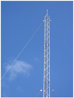 Hình 3. Trụ Chống Sét Theo Nguyên Lý Phát Xạ Sớm Không Hiệu Quả