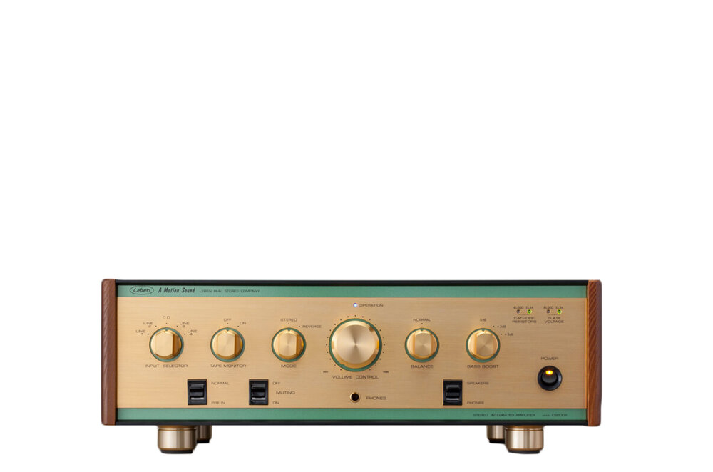 hệ thống đầu vào của Ampli Leben CS - 600