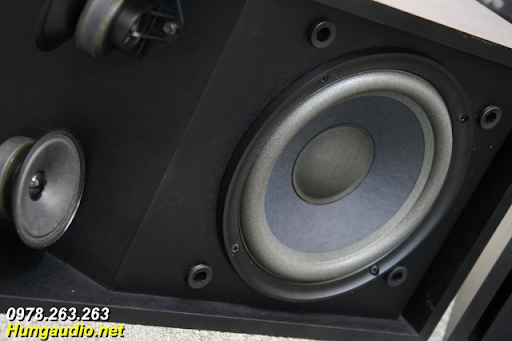 Thông số kỹ thuật của loa Bose 301 Series III Canada