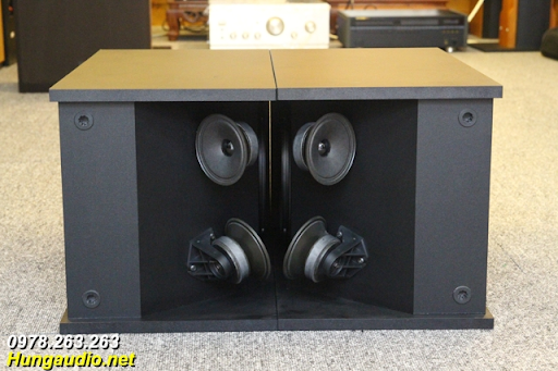 Đặc điểm loa Bose 301 series III Mexico đen