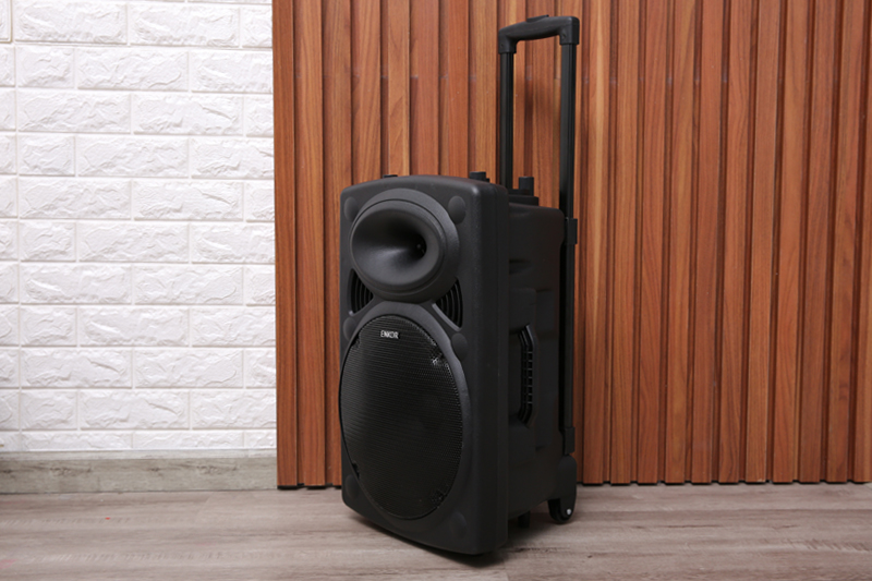 Kinh nghiệm chọn lựa mẫu loa hát rong đảm bảo chất lượng