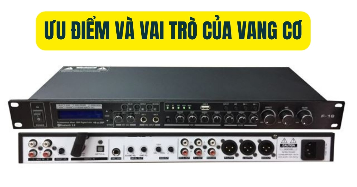 tác dụng chính của vang cơ karaoke