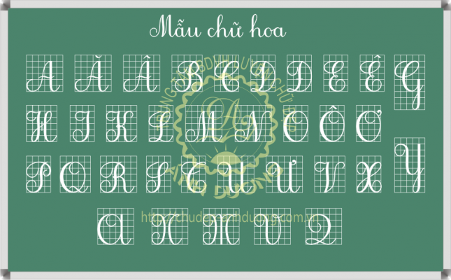Mẫu chữ hoa đứng thanh đậm