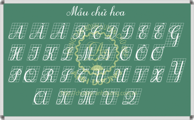 Mẫu chữ hoa nghiêng thanh đậm