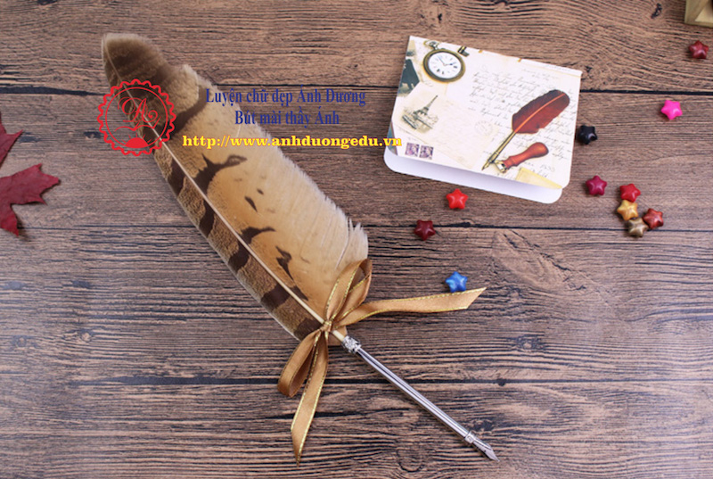 Bút lông ngỗng màu vằn Nature Feather