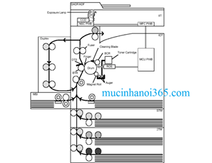 Cấu tạo của máy photocopy fuji xerox