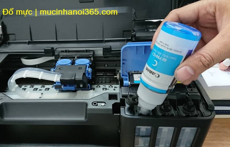 đổ mực hàng bài