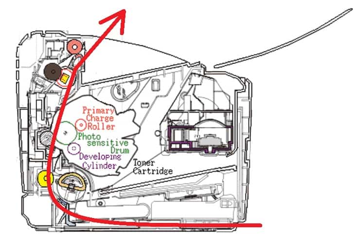 đường giấy đi của máy in canon 2900