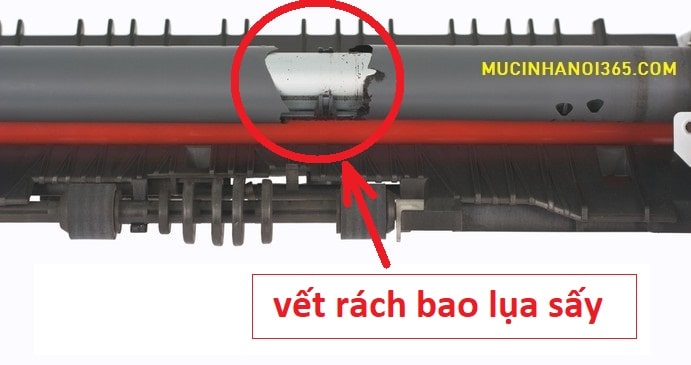 máy in bị kêu do rách lụa sấy