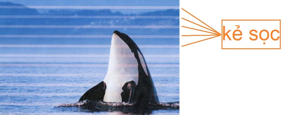 máy in màu bị sọc kẻ máy in màu in bị sọc màu