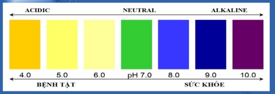 bảng đo PH của máy