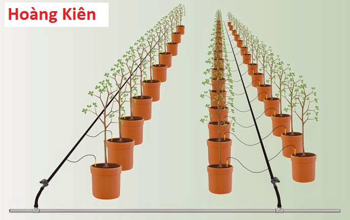 mô hình tưới nhỏ giọt