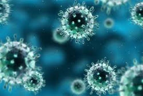 virus cúm