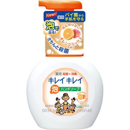 Dung dịch rửa tay Lion hương cam 250ml
