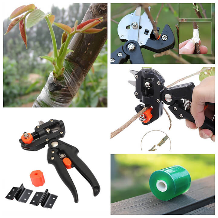 keo-chiet-ghep-canh-da-nang-dai-loan-26