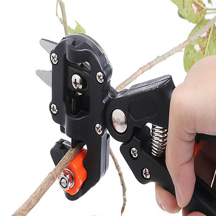 keo-chiet-ghep-canh-da-nang-dai-loan-27