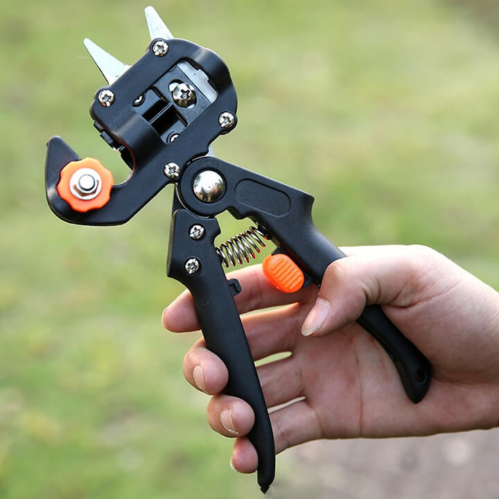 keo-chiet-ghep-canh-da-nang-dai-loan-29