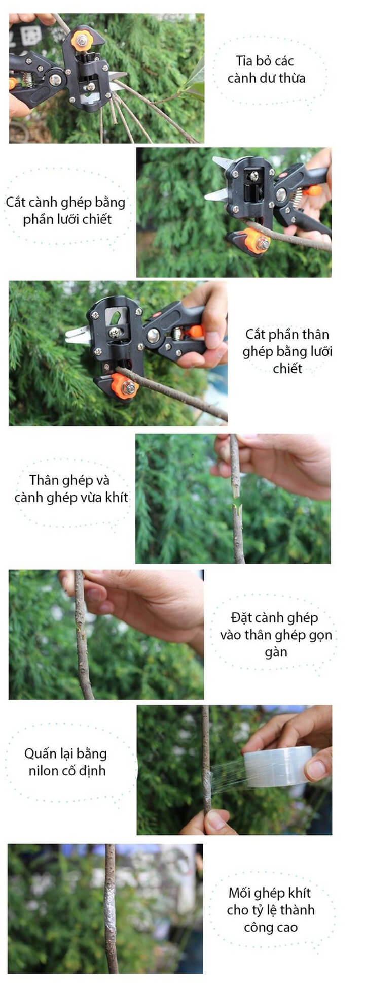 keo-chiet-ghep-canh-da-nang-dai-loan-32