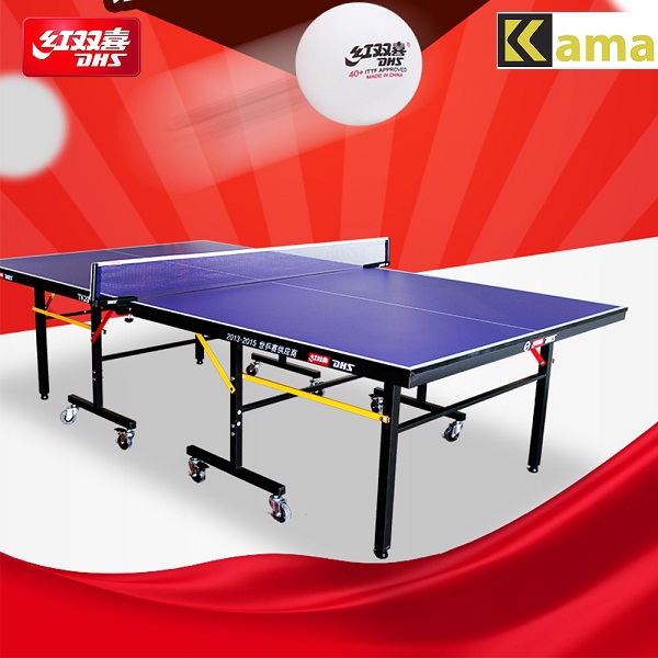 Bàn-bóng-bàn-DHS-2123