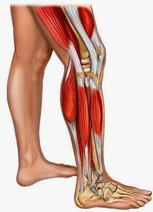 chay-bo-lam-tang-ap-luc