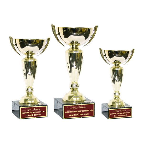 cup-vang-luu-niem-8v0003