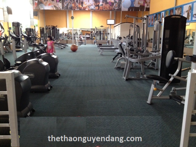 phong-tap-the-hinh