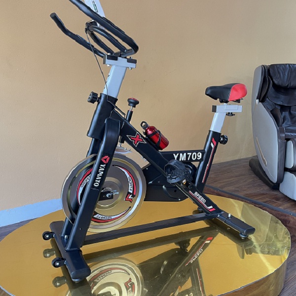 Xe đạp tập thể dục tại nhà YM-709
