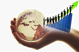 Development History of the Company
