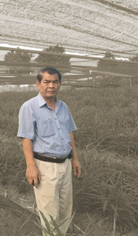Mr.Nguyen Phi Hau