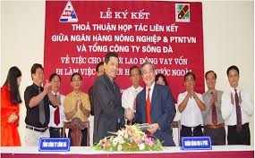 Đơn Tuyển Nhật Tháng 12