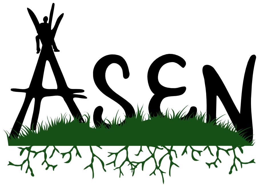 nuoc nhiem asen
