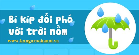 máy sấy quần áo kangaroo