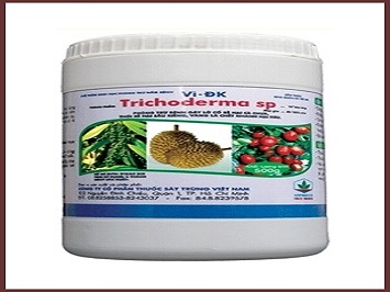 THUỐC TRỪ NẤM TRICHODERMA