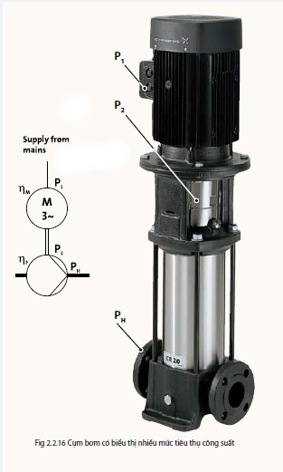 CẤU TẠO MÁY BƠM TRỤC ĐỨNG GRUNDFOS CẤU TẠO MÁY BƠM TRỤC ĐỨNG GRUNDFOS