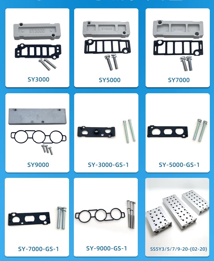 Gioăng đế van SY3000-GS-1/5000-GS-1/7000-GS-1/9000-GS-1