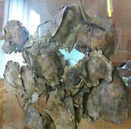 Description: C:\Users\ngocsonthuy\Desktop\DCIM\924DKYTK\IMG_2921.JPG