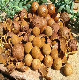 Description: http://www.wisperfs.com/uploads/image/Research%20doc%20cover%20pic.jpg