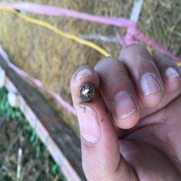 Description: C:\Users\ngocsonthuy\Desktop\DCIM\924DKYTK\IMG_2987.JPG