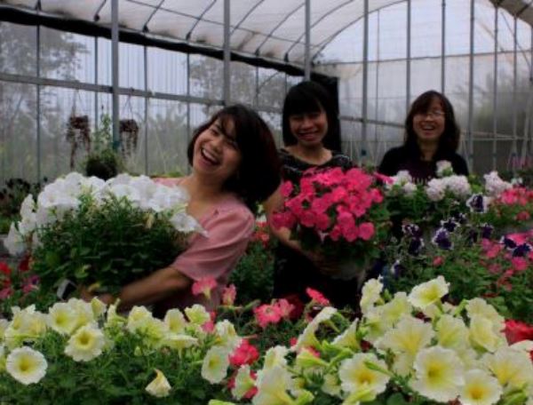 Những giống hoa đẹp, dễ trồng cho người mới trồng hoa Những giống hoa đẹp, dễ trồng cho người mới trồng hoa