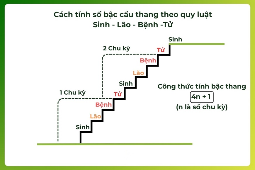 Bậc cuối cùng nên rơi vào cung Sinh để mang lại sự khởi đầu tốt đẹp, may mắn và tài lộc cho gia đình