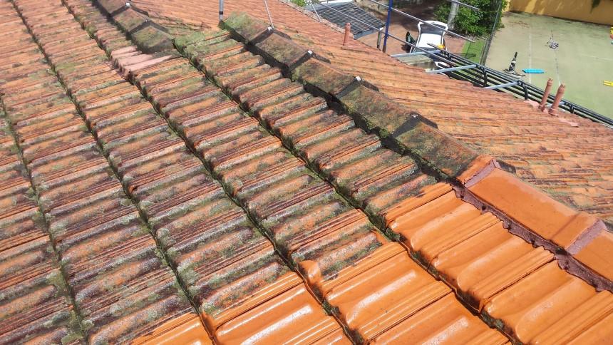 Mái ngói bị rêu mốc sau thời gian dài sử dụng
