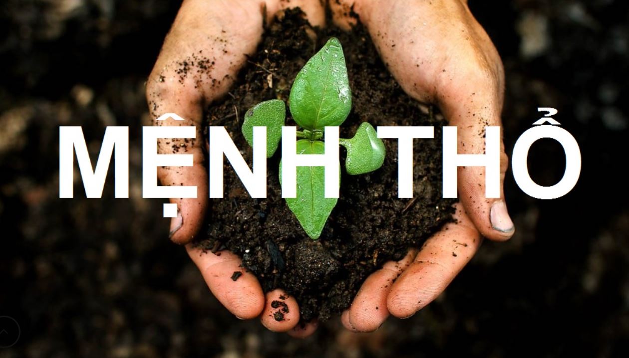 Trang trí nhà cửa hợp mệnh giúp cân bằng ngũ hành và mang lại may mắn