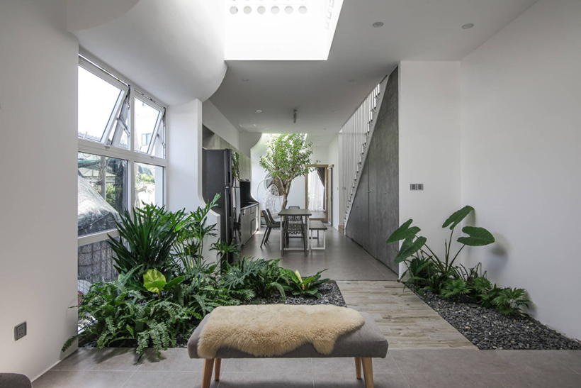 Bày trí cây xanh làm không gian sống thêm sinh động